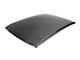 Anderson Composites Roof Replacement; Dry Carbon Fiber (08-23 Challenger)