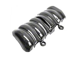 Anderson Composites Intake Plenum Cover; Carbon Fiber (08-13 6.2L Corvette C6, Excluding Z06 & ZR1)