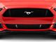 Anderson Composites Lower Grille; Carbon Fiber (15-17 Mustang GT, EcoBoost, V6)