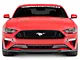 Anderson Composites Lower Grille; Carbon Fiber (18-23 Mustang GT, EcoBoost)