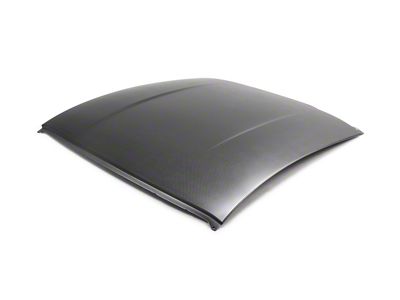 Anderson Composites Roof Replacement; Dry Carbon Fiber (15-23 Mustang Fastback)