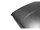 Anderson Composites Roof Replacement; Dry Carbon Fiber (15-23 Mustang Fastback)