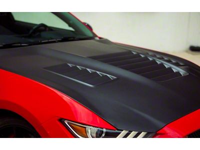 Anderson Composites Type-CR Hood; Carbon Fiber (15-20 Mustang GT350)