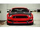 Anderson Composites Type-CR Hood; Carbon Fiber (15-20 Mustang GT350)