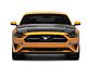 Anderson Composites Type-GT5 GT500 Style Hood; Double Sided Carbon Fiber (18-23 Mustang GT, EcoBoost)