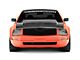 Anderson Composites Ram Air Hood; Carbon Fiber (05-09 Mustang GT, V6)