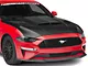 Anderson Composites Ram Air Hood; Carbon Fiber (18-23 Mustang GT, EcoBoost)