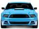 Anderson Composites Type-13/14 Upper Grille; Carbon Fiber (10-14 Mustang GT500)