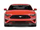 Anderson Composites Type-AR Front Chin Splitter; Carbon Fiber (18-23 Mustang GT, EcoBoost)
