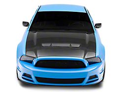 Anderson Composites Type-GT Hood; Carbon Fiber (13-14 Mustang GT, V6; 10-14 Mustang GT500)