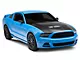 Anderson Composites Type-GT Hood; Carbon Fiber (13-14 Mustang GT, V6; 10-14 Mustang GT500)