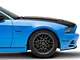 Anderson Composites Type-GT Hood; Carbon Fiber (13-14 Mustang GT, V6; 10-14 Mustang GT500)
