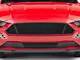 Anderson Composites Type-GT Upper Grille; Carbon Fiber (18-23 Mustang GT)