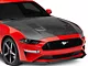 Anderson Composites Type-OE Hood; Carbon Fiber (18-23 Mustang GT, EcoBoost)