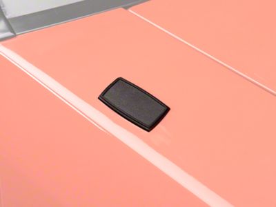 Antenna Delete Block Off Plate (79-93 Mustang)