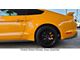 Apex Overlay Gen III Red Brake Caliper Overlays; Front and Rear (15-22 Mustang Standard EcoBoost, V6)