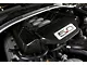 APR Performance Engine Cover; Carbon Fiber (15-17 Mustang GT)