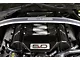 APR Performance Engine Cover; Carbon Fiber (15-17 Mustang GT)