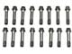 ARP Pro-Series 2000 Stock Connecting Rod Bolts; Set of 16 (96-10 Mustang GT; 96-01 Mustang Cobra; 03-04 Mustang Mach 1; 07-12 Mustang GT500)
