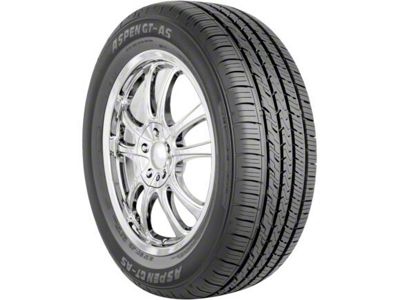 Aspen GT-AS SRI Tire (205/65R15)