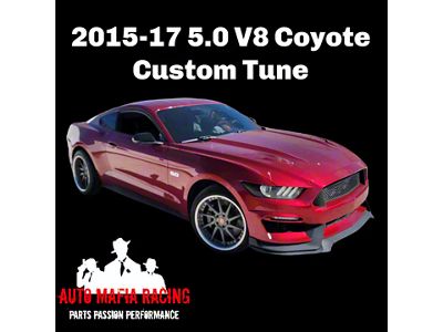 Custom Tune; Tuner Sold Separately (15-17 Mustang GT)