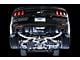 AWE Track Edition Cat-Back Exhaust with Chrome Silver Tips (15-17 Mustang GT Fastback)