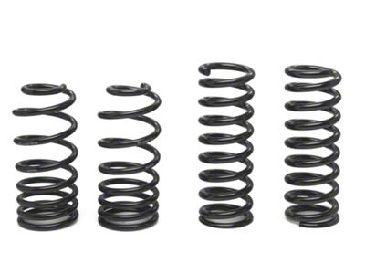 Ford Performance Lowering B-Springs (79-04 Mustang, Excluding 99-04 Cobra)