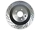 Baer EradiSpeed1 Drilled and Slotted Rotors; Rear Pair (94-04 Mustang GT, V6)