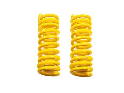 Belltech Muscle Car Lowering Springs (06-10 V8 HEMI RWD Charger)