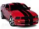 SEC10 GT500 Style Stripes; Gloss Black; 10-Inch (05-14 Mustang)