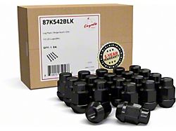 Black Acorn Lug Nut Kit; 3/4-Inch; Set of 20 (79-14 Mustang)