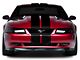 SEC10 Lemans Stripes; Gloss Black; 8-Inch (94-04 Mustang)