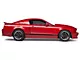 SEC10 Rocker Stripes with GT350 Logo; Gloss Black (05-14 Mustang)
