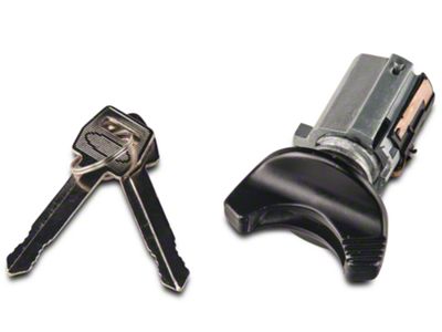 Ignition Lock Cylinder; Black (94-95 Mustang)