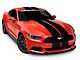 SEC10 GT500 Style Stripes; Gloss Black; 10-Inch (15-23 Mustang)