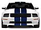 SEC10 GT500 Style Stripes; Blue; 10-Inch (05-14 Mustang)