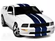 SEC10 GT500 Style Stripes; Blue; 10-Inch (05-14 Mustang)