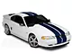 SEC10 GT500 Style Stripes; Blue; 10-Inch (94-04 Mustang)