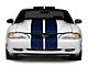 SEC10 GT500 Style Stripes; Blue; 10-Inch (94-04 Mustang)