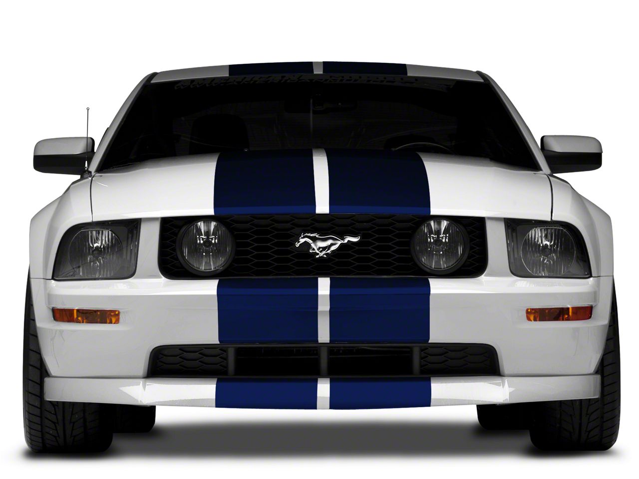 洋書 MUSTANG The Racing Thoroughbred 71C4rMT9nLL.jpg
