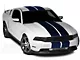 SEC10 Lemans Stripes; Blue; 12-Inch (05-14 Mustang)
