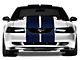 SEC10 Lemans Stripes; Blue; 12-Inch (94-04 Mustang)