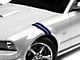 SEC10 Hash Marks; Blue (05-14 Mustang)