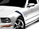 SEC10 Hash Marks; Blue (05-14 Mustang)