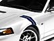 SEC10 Hash Marks; Blue (94-04 Mustang)