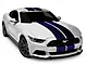 SEC10 GT500 Style Stripes; Blue; 10-Inch (15-23 Mustang)