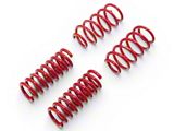 BMR Front and Rear Lowering Springs; Performance Version; Red (08-23 V8 HEMI Challenger)