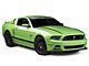 Ford BOSS 302 Grille with Emblem (13-14 Mustang GT; 2013 Mustang BOSS 302)
