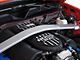 Ford BOSS 302 Strut Tower Brace (05-14 Mustang GT, V6)
