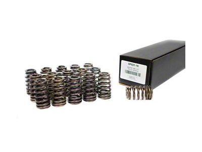 Brian Tooley Racing Drop-In Valve Springs; 0.650-Inch Lift (09-23 5.7L HEMI Charger)